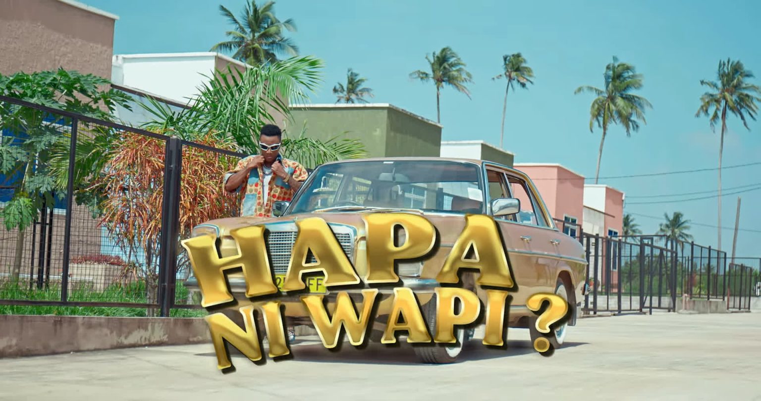 Download Video | Suma Mnazaleti Ft. Chino Kidd & Gerkey – Hapa Ni Wapi