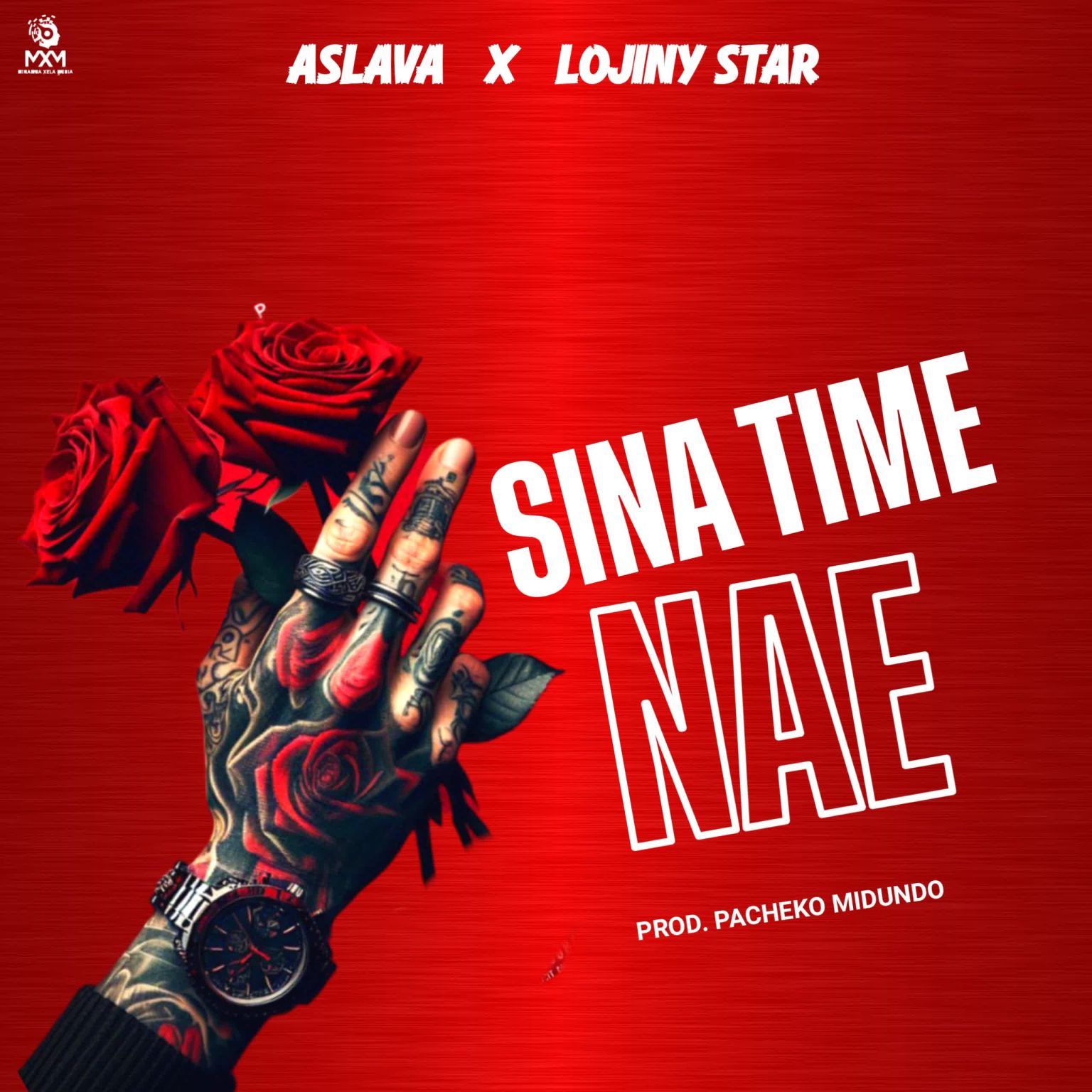 Download Audio | Aslava boy Ft. Rojny Star – Sina time Nae