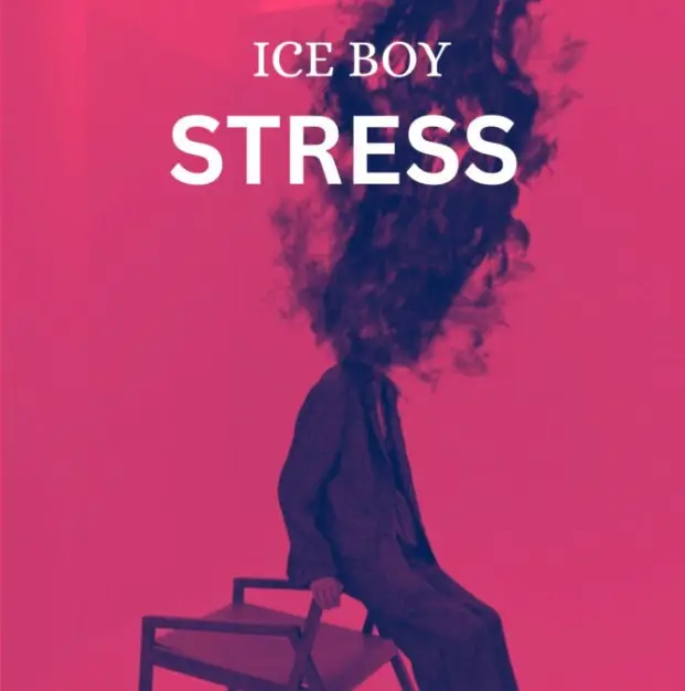 Download Audio | Ice Boy – Stress