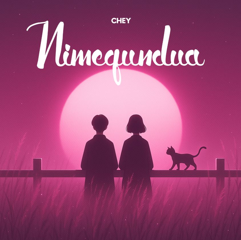 Music Audio : Chey Tz – Nimegundua | Download